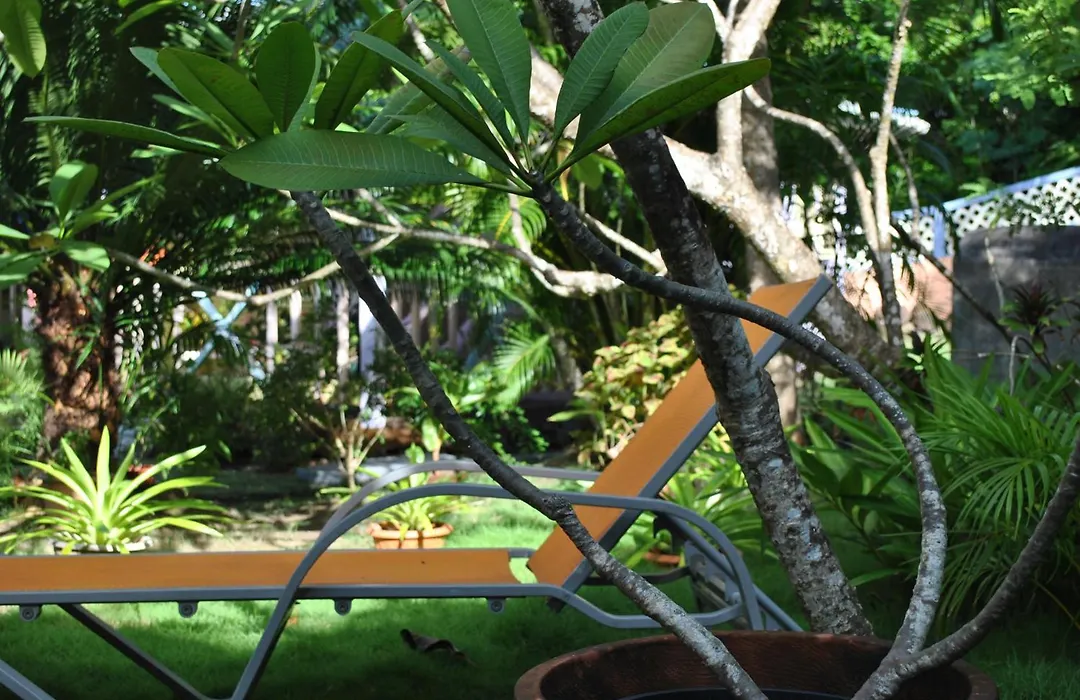 Villa Caribbean Dream-1